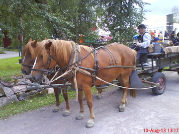 Ja sitten vossikka 2hp